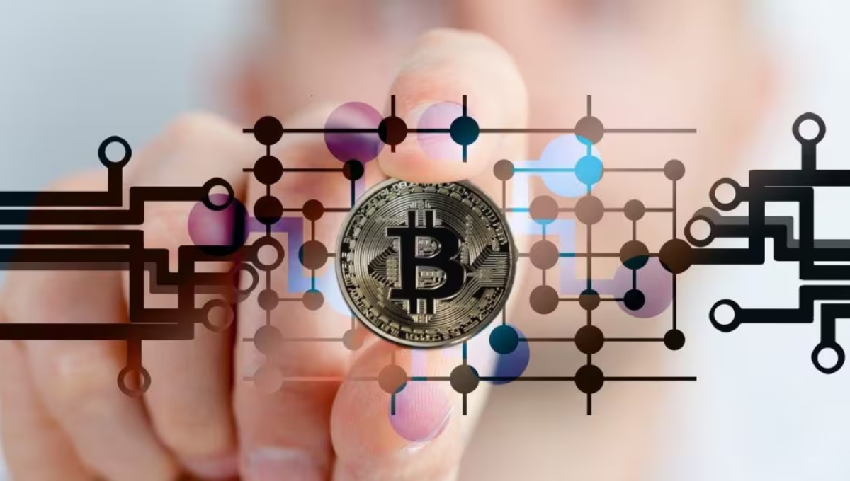 Bitcoin Boom Meets Brutal Reality: No Fundamental Value, Says Economist